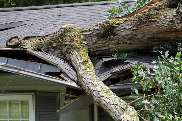 Storm Remediation in Hixson