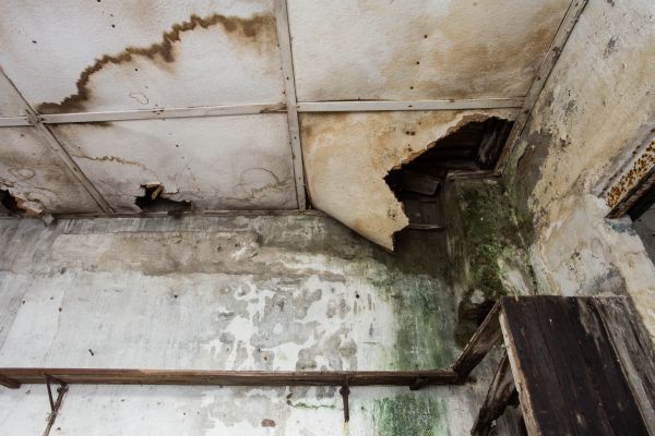 Water Damage Service in Hixson