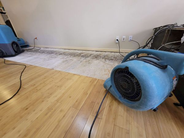 Water Damage Mitigation in Hixson