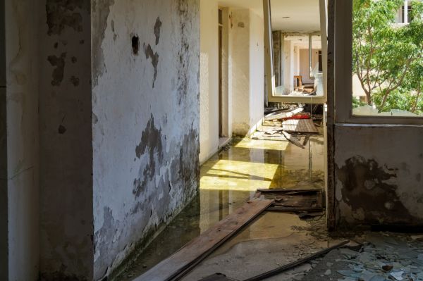 Water Removal Service in Hixson