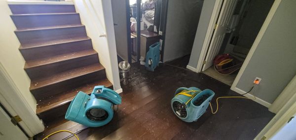 Water Damage Remediation in Hixson
