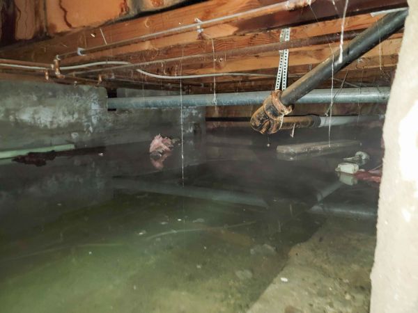 Water Mitigation Service in Hixson