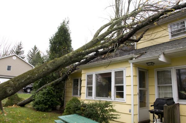 Hurricane Damage Repair in Hixson